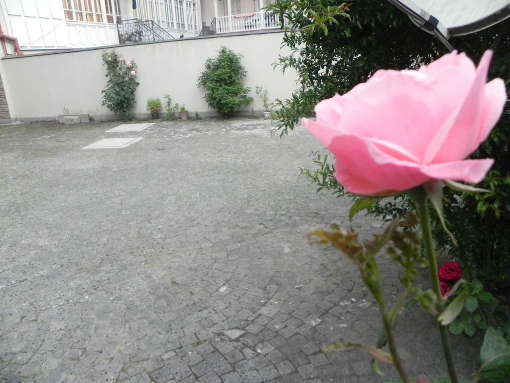 Old Yard Guest House Tbiliszi Kültér fotó